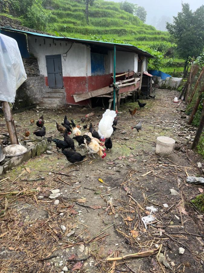 The North Face Inn'S Homestay Pokhara Esterno foto